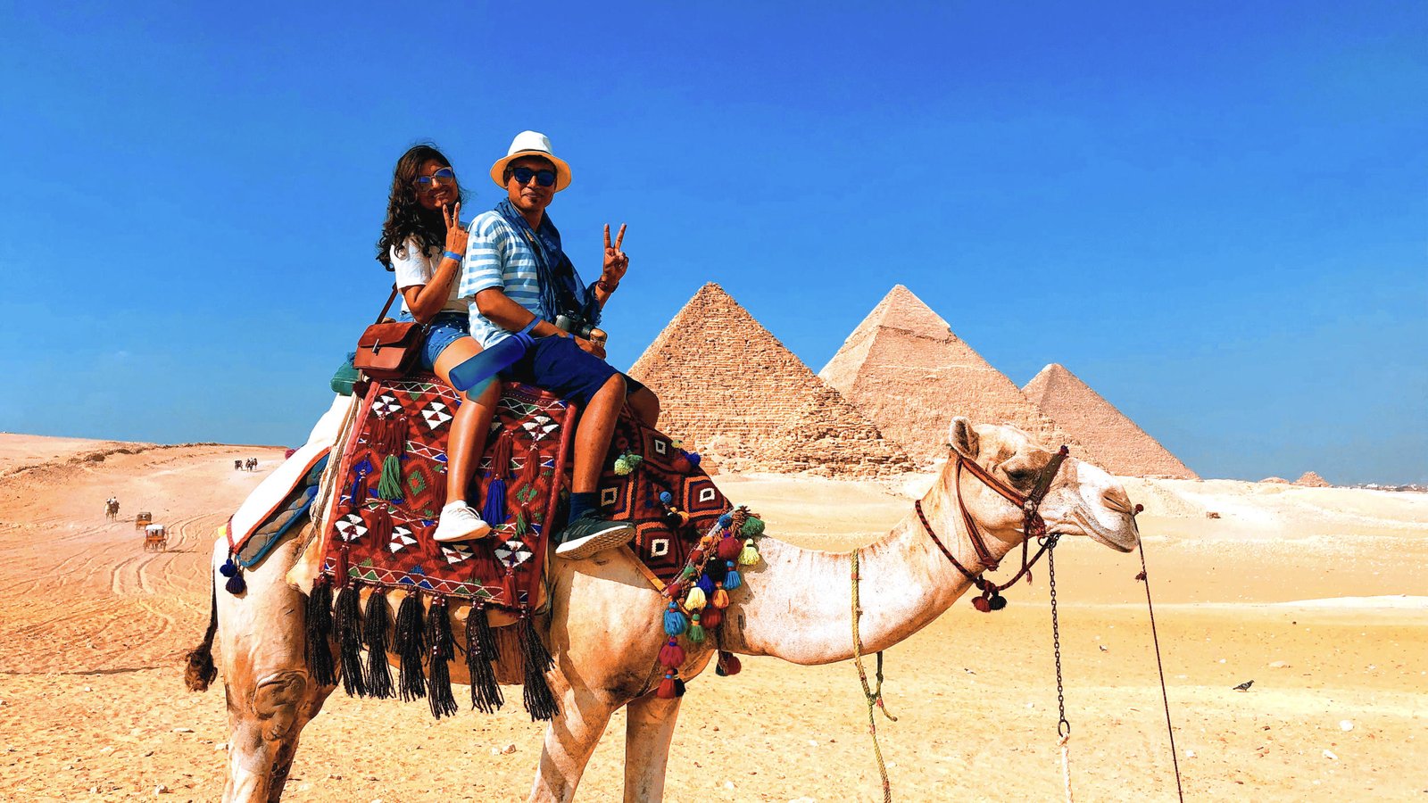 Праздники в египте 2024. Спорт в Египте. Camel Race Egypt. Egypt Camel Tours. English in Egypt.