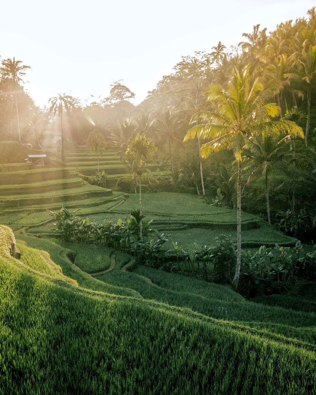 2023 - An Ultimate Bali Itinerary for 8 days - And Travel Stories